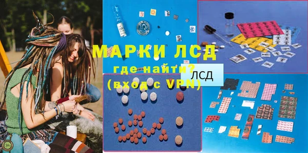 PSILOCYBIN Горно-Алтайск