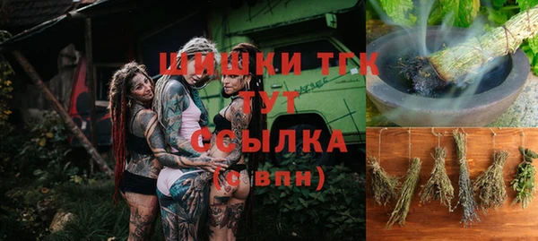 хмурый Горняк