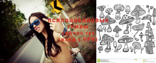 PSILOCYBIN Горно-Алтайск