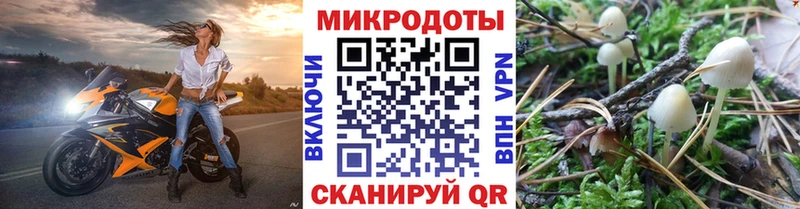 где найти   Тверь  Псилоцибиновые грибы GOLDEN TEACHER 