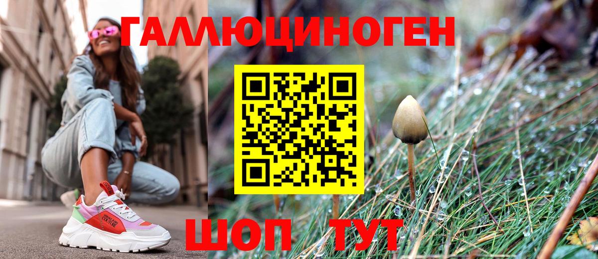 Тверь  Псилоцибиновые грибы мицелий  как найти закладки  Вход с VPN 